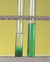 menthe à l'eau